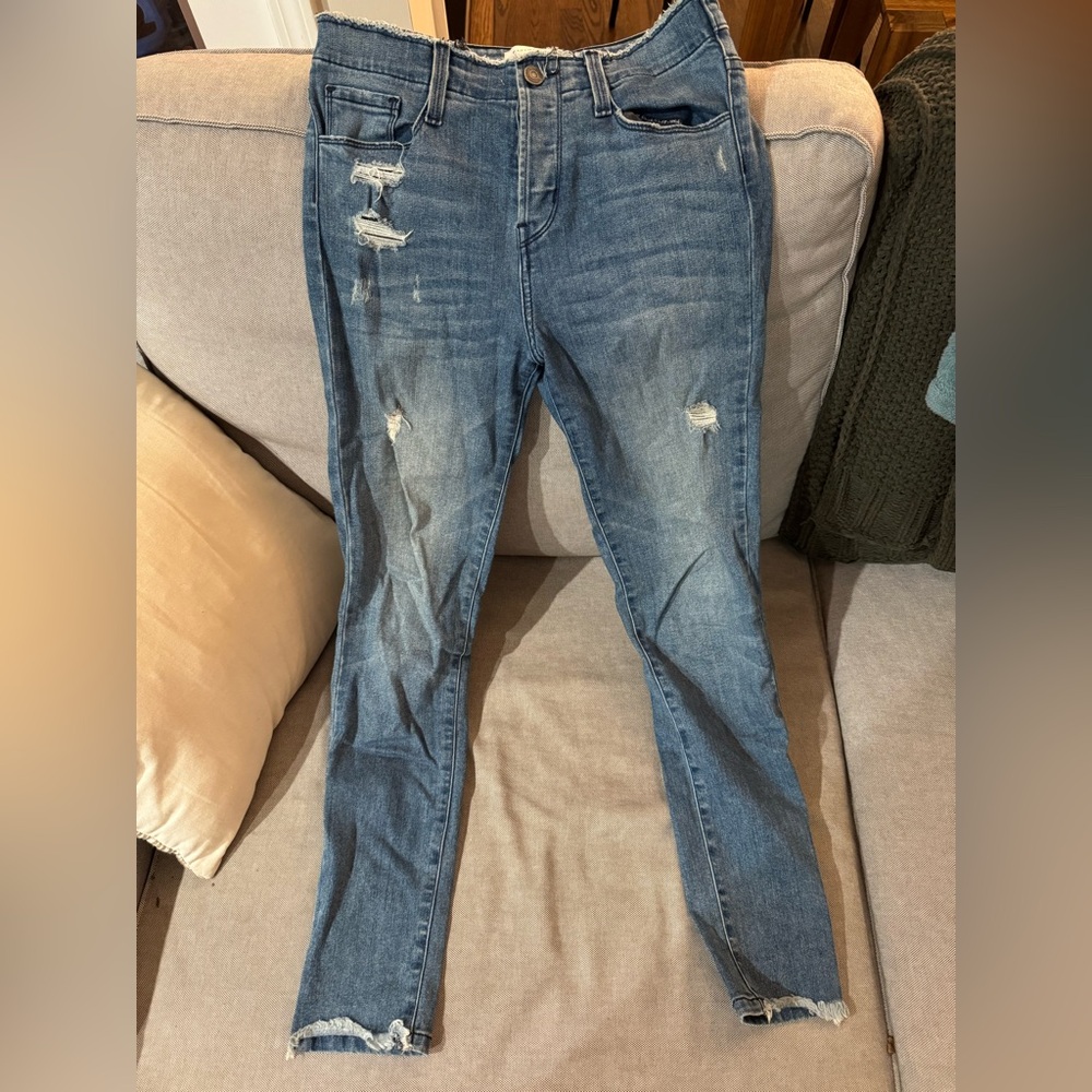 Flying Monkey Distressed Denim Skinny Jeans